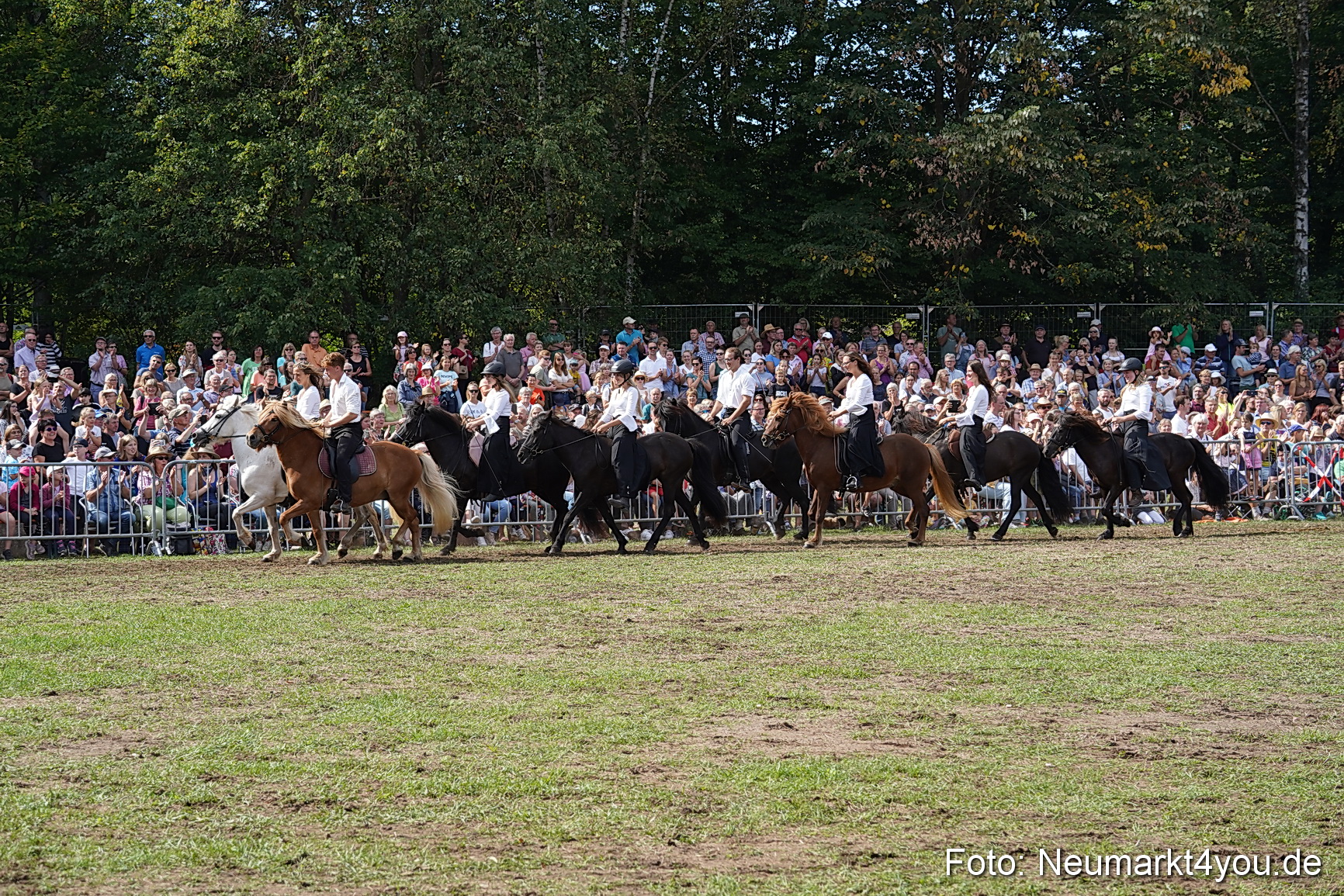 Pferde und Fohlenschau 2022 0276 